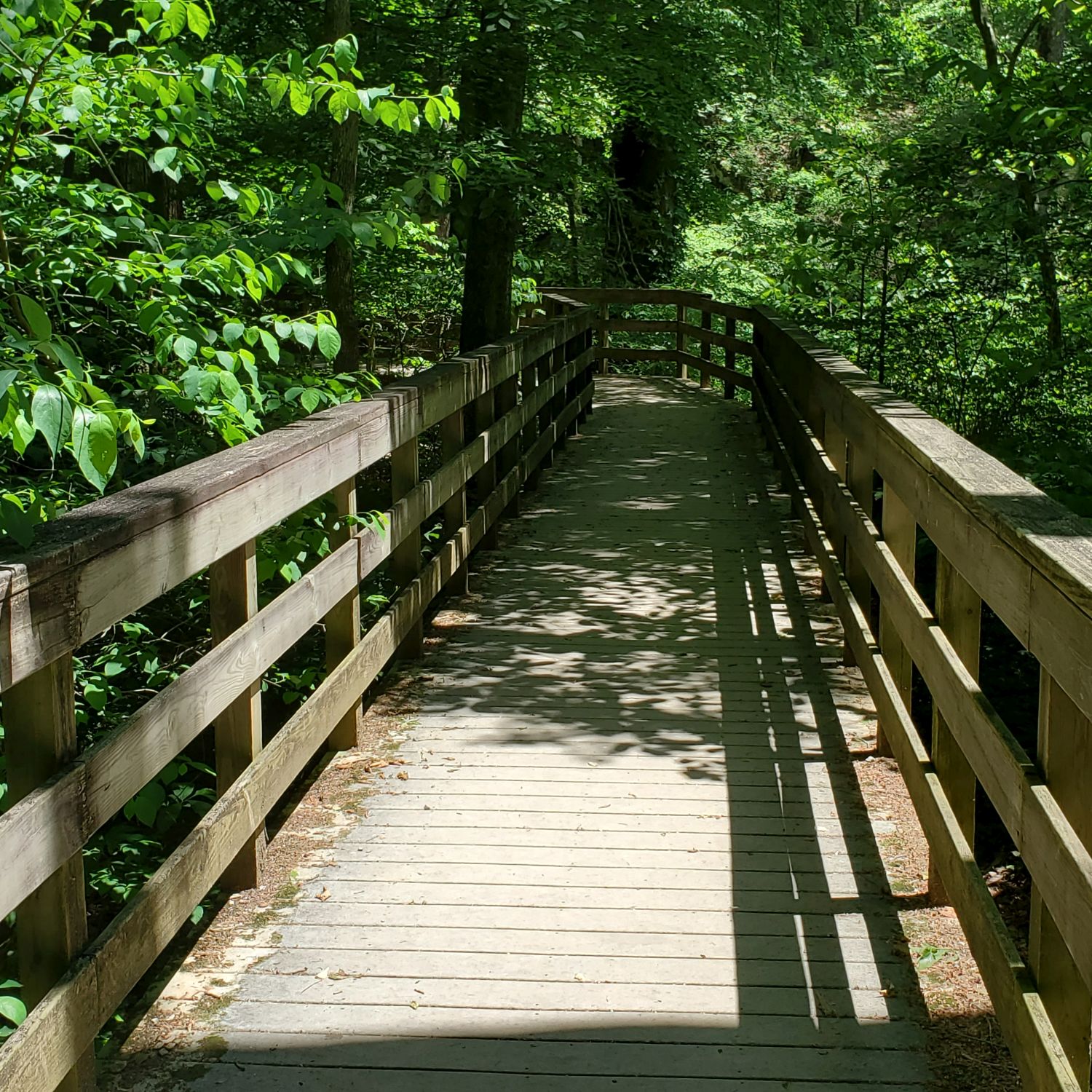 Mammouth Cave National Park Hike 